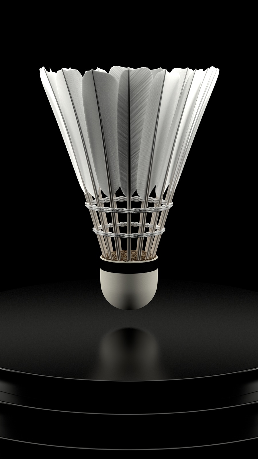 全球瞩目的 全球瞩目的