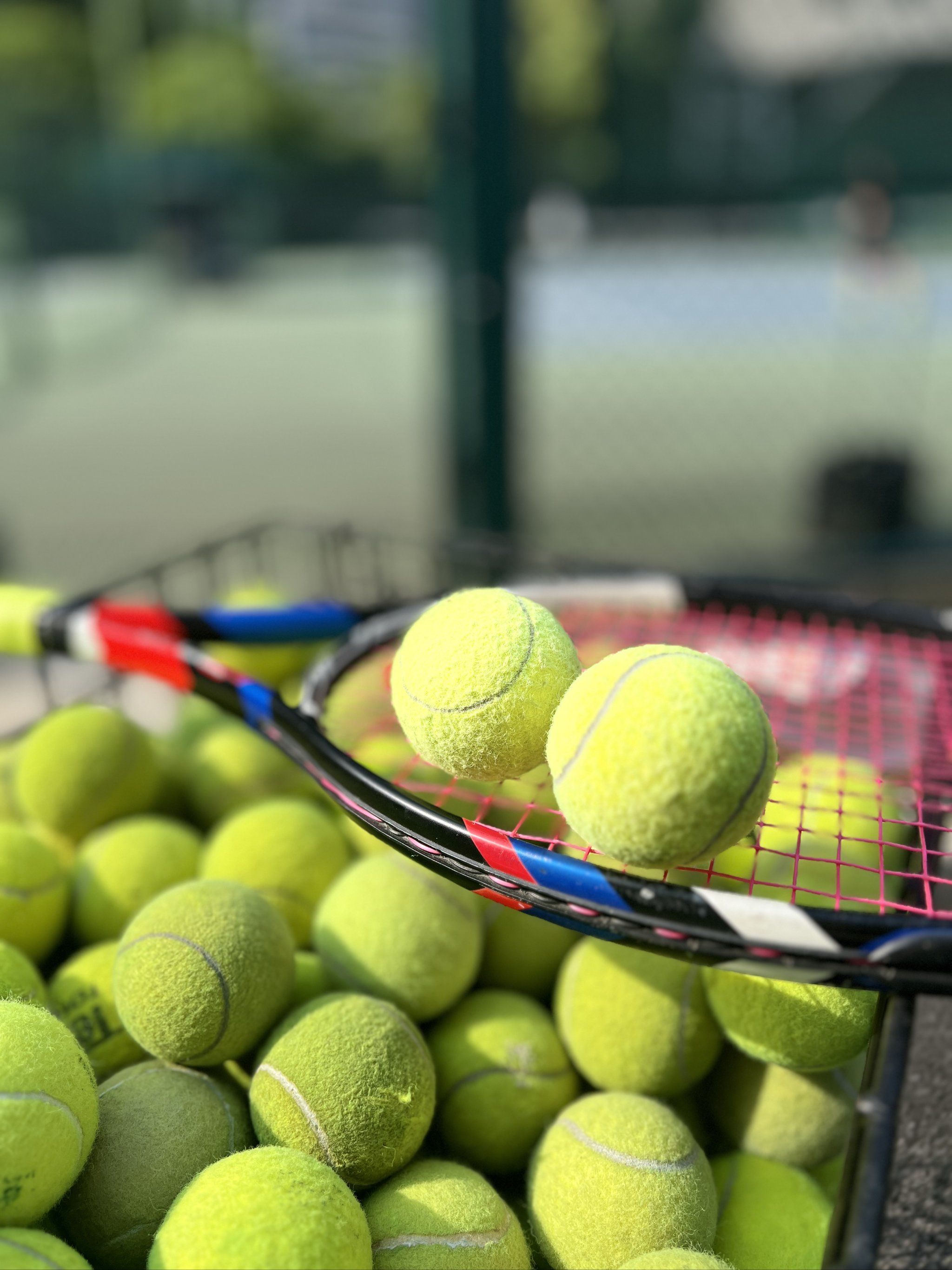 现与感召力 现与感召力