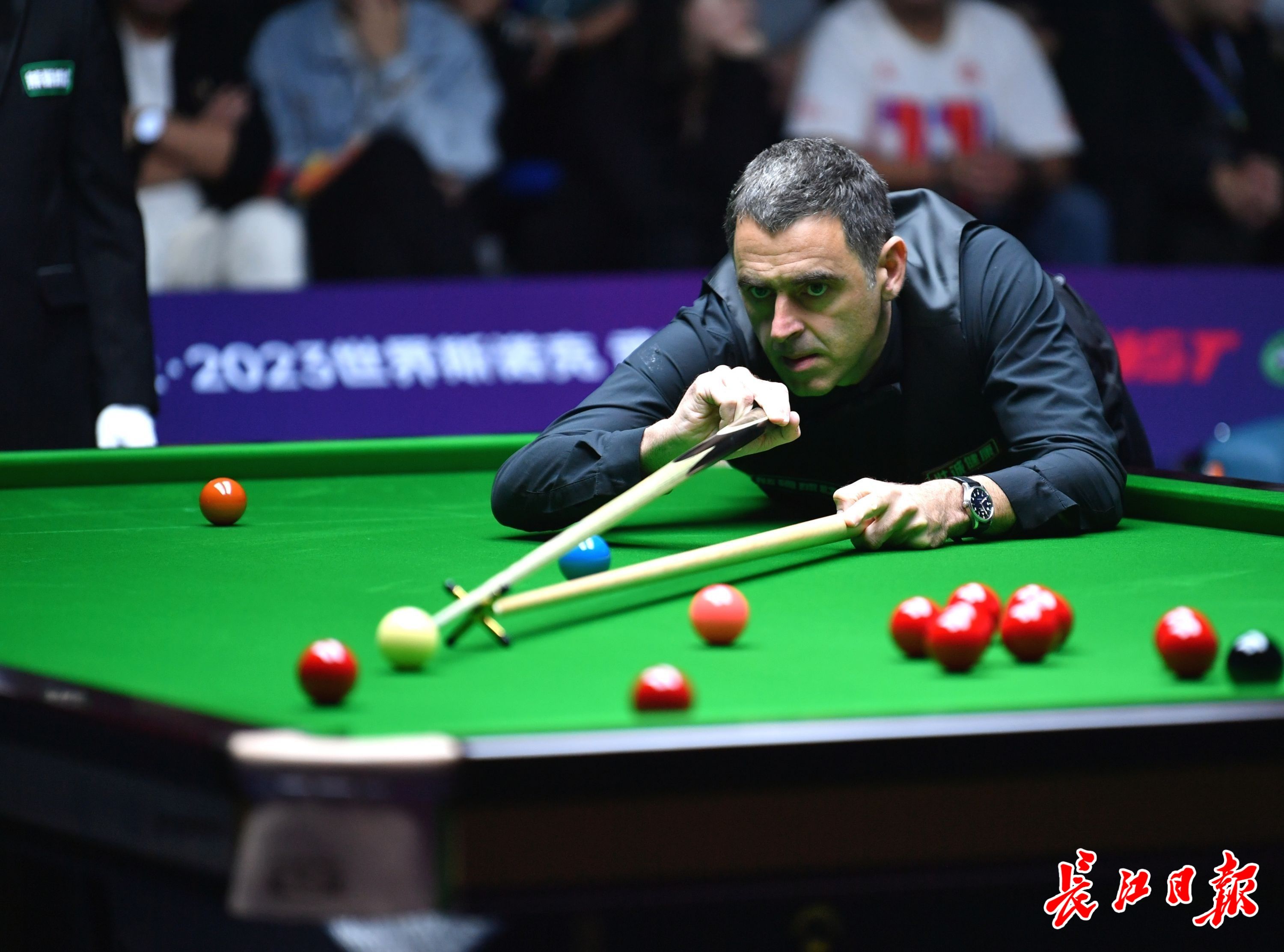 适起到了至 适起到了至