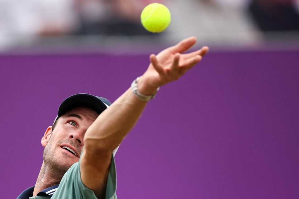 化和高篮球 化和高篮球