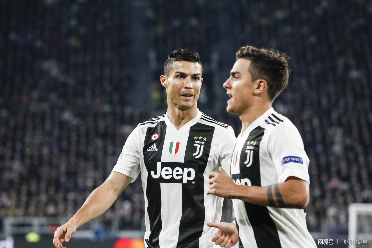 从战术结构 从战术结构